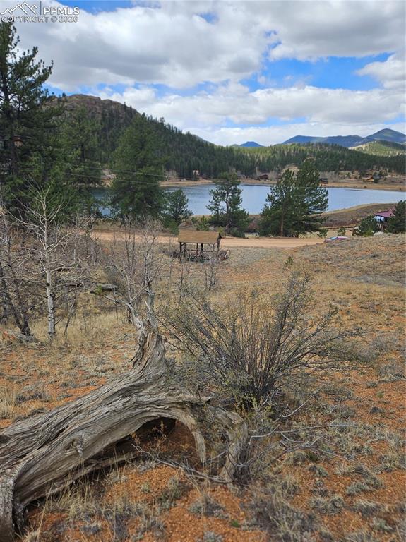 635 Sleepy Joe Drive Lake George CO 80827