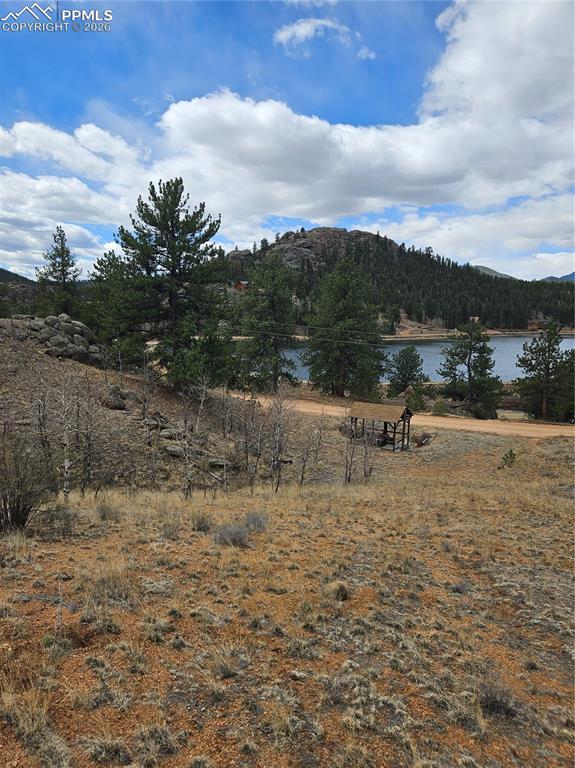 635 Sleepy Joe Drive Lake George CO 80827