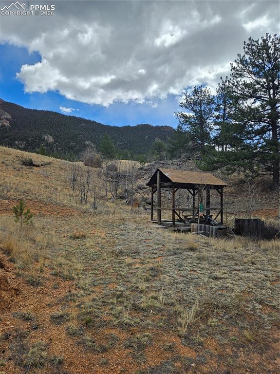 635 Sleepy Joe Drive Lake George CO 80827