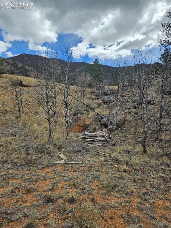 635 Sleepy Joe Drive Lake George CO 80827
