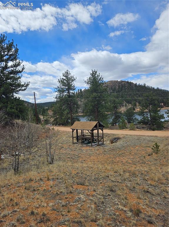 635 Sleepy Joe Drive Lake George CO 80827