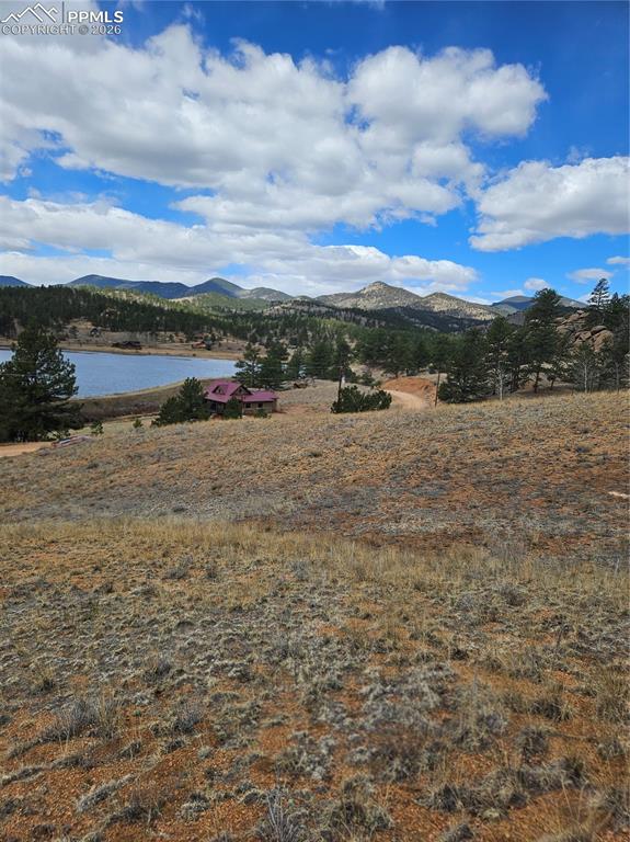 635 Sleepy Joe Drive Lake George CO 80827