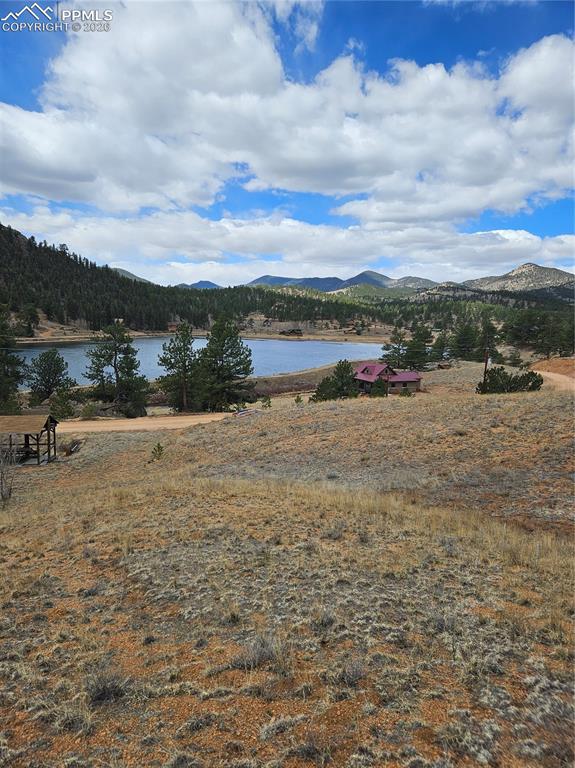 635 Sleepy Joe Drive Lake George CO 80827