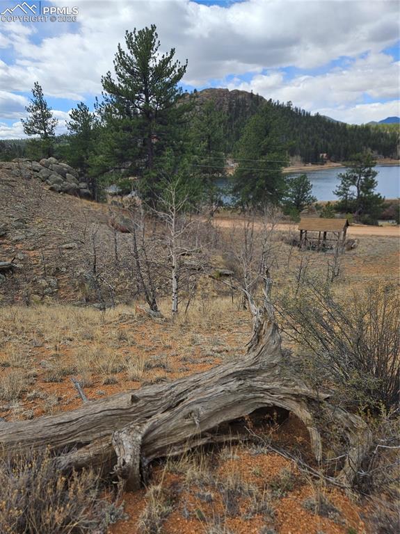 635 Sleepy Joe Drive Lake George CO 80827