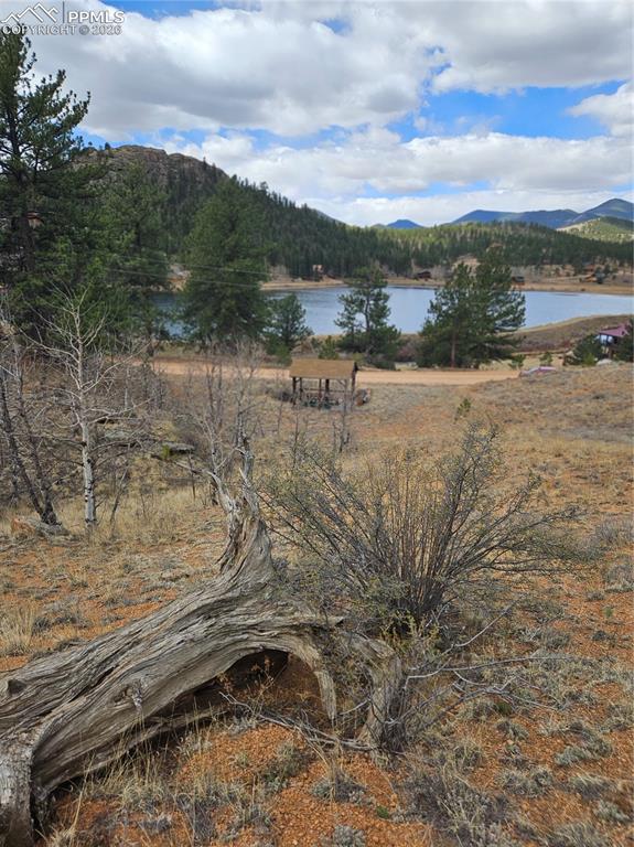 635 Sleepy Joe Drive Lake George CO 80827