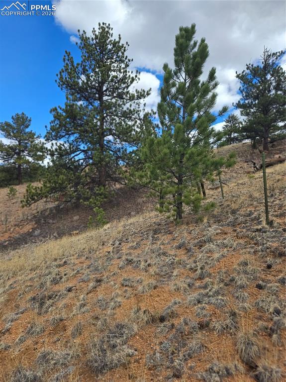 635 Sleepy Joe Drive Lake George CO 80827