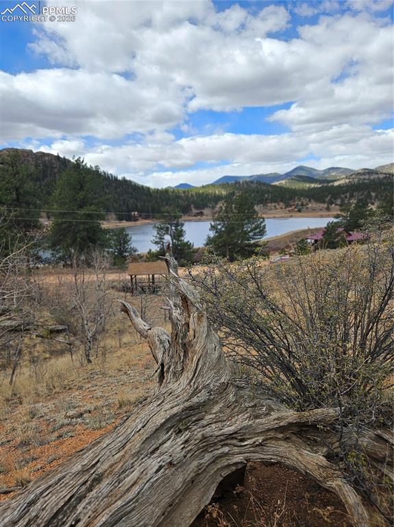 635 Sleepy Joe Drive Lake George CO 80827