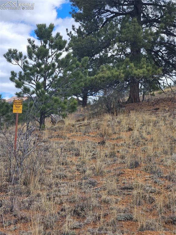 635 Sleepy Joe Drive Lake George CO 80827
