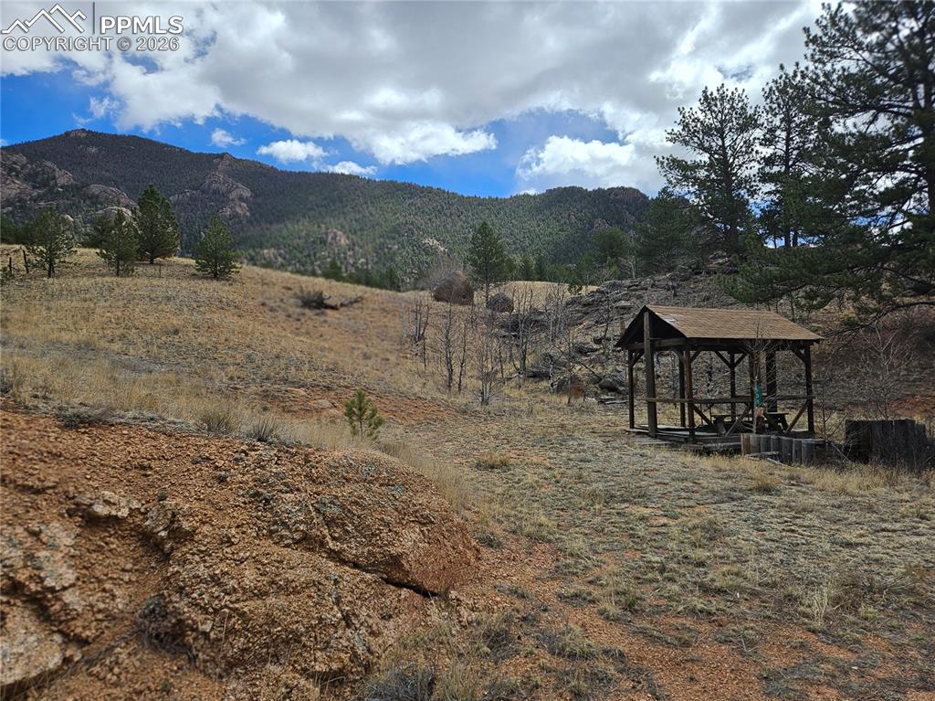 635 Sleepy Joe Drive Lake George CO 80827