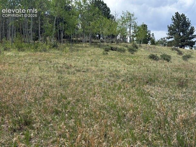 7142 County Road 92 Lake George CO 80827