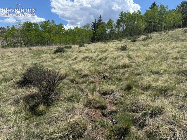 7142 County Road 92 Lake George CO 80827