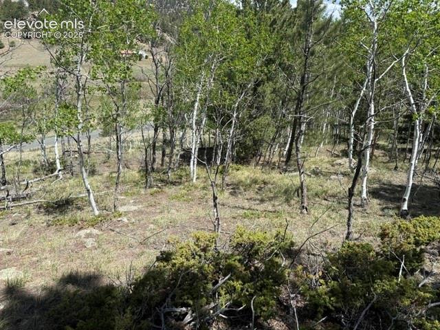 7142 County Road 92 Lake George CO 80827
