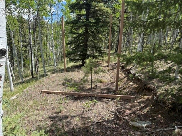 7142 County Road 92 Lake George CO 80827