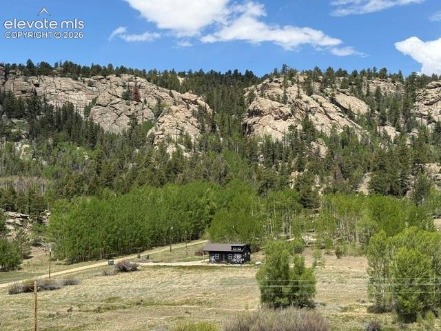 7142 County Road 92 Lake George CO 80827