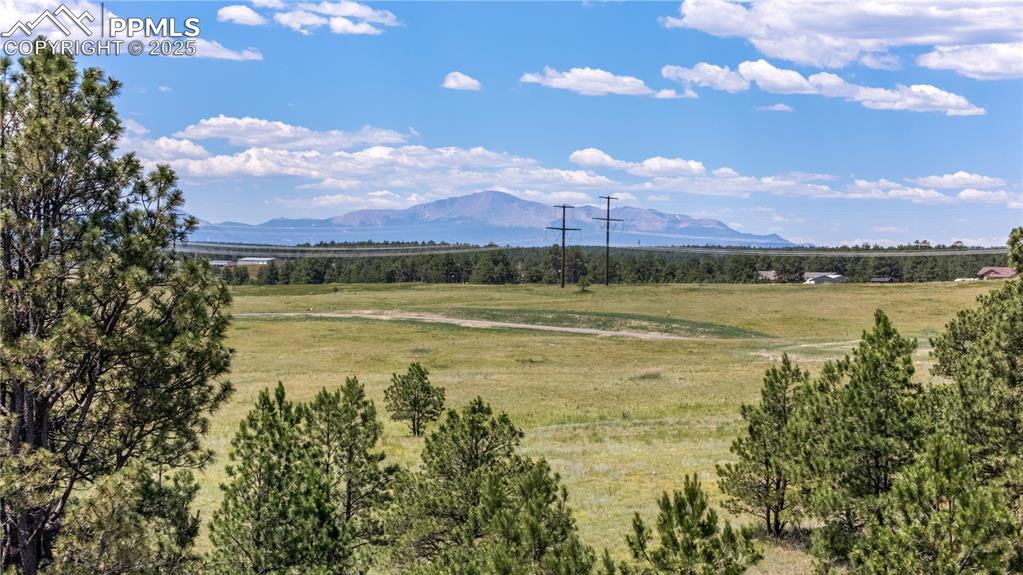 10854 Alamar Way Colorado Springs CO 80908