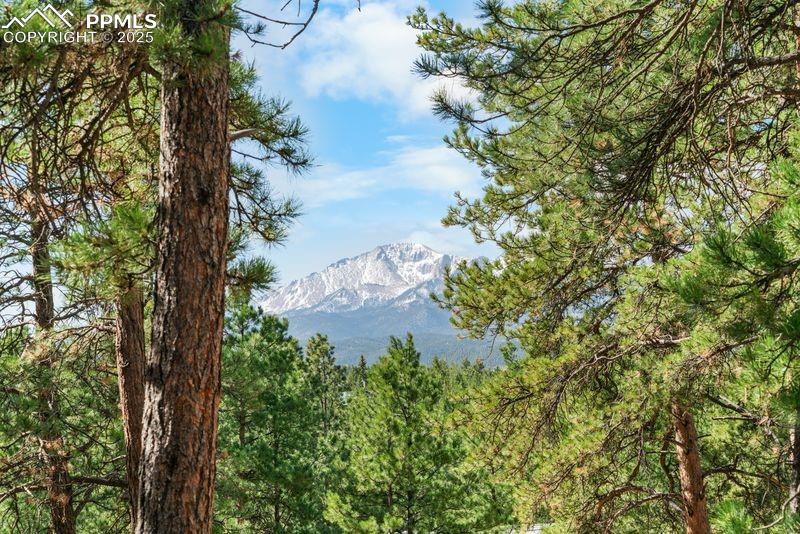 156 E Ridge Drive Woodland Park CO 80863