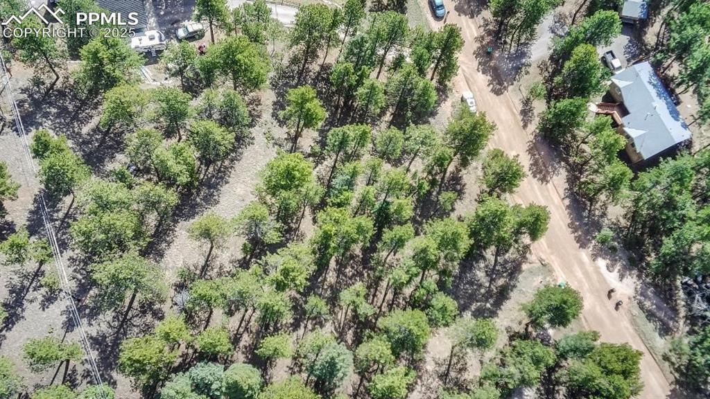 156 E Ridge Drive Woodland Park CO 80863