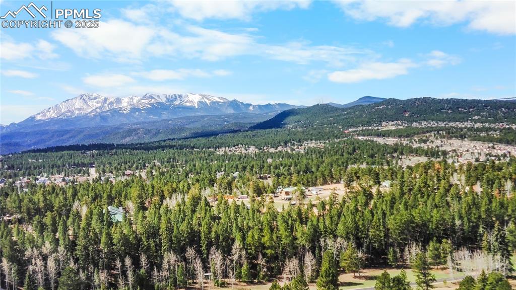 156 E Ridge Drive Woodland Park CO 80863