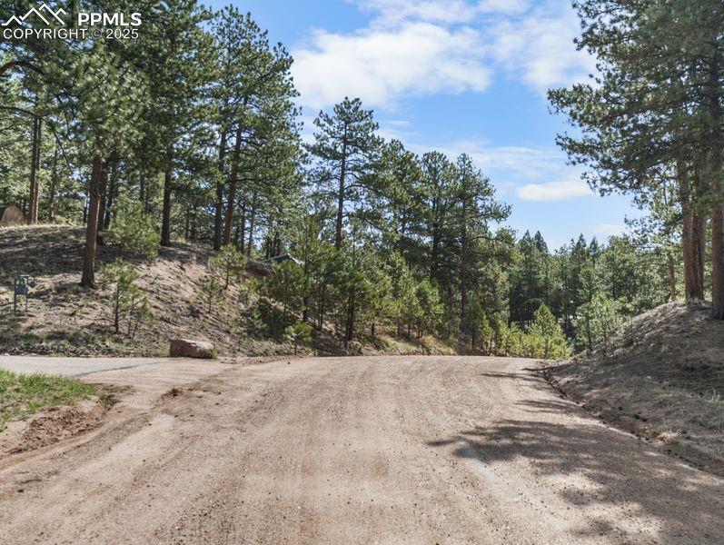 156 E Ridge Drive Woodland Park CO 80863