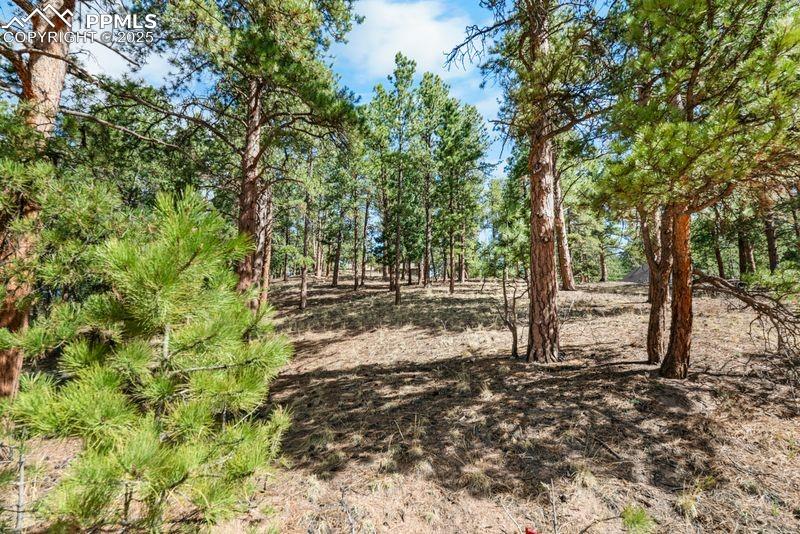 156 E Ridge Drive Woodland Park CO 80863