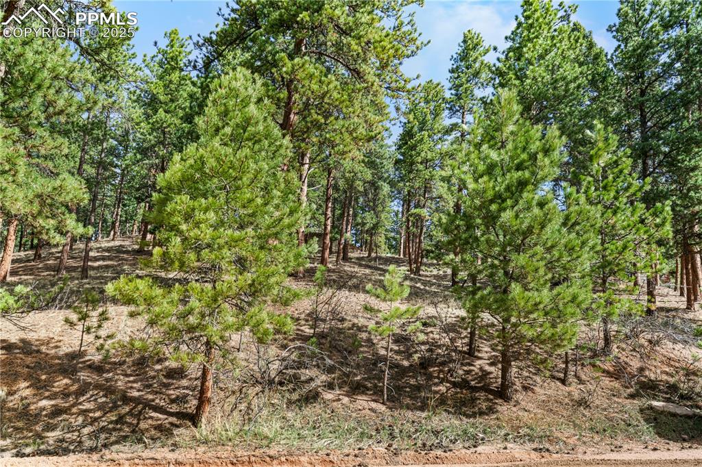 156 E Ridge Drive Woodland Park CO 80863