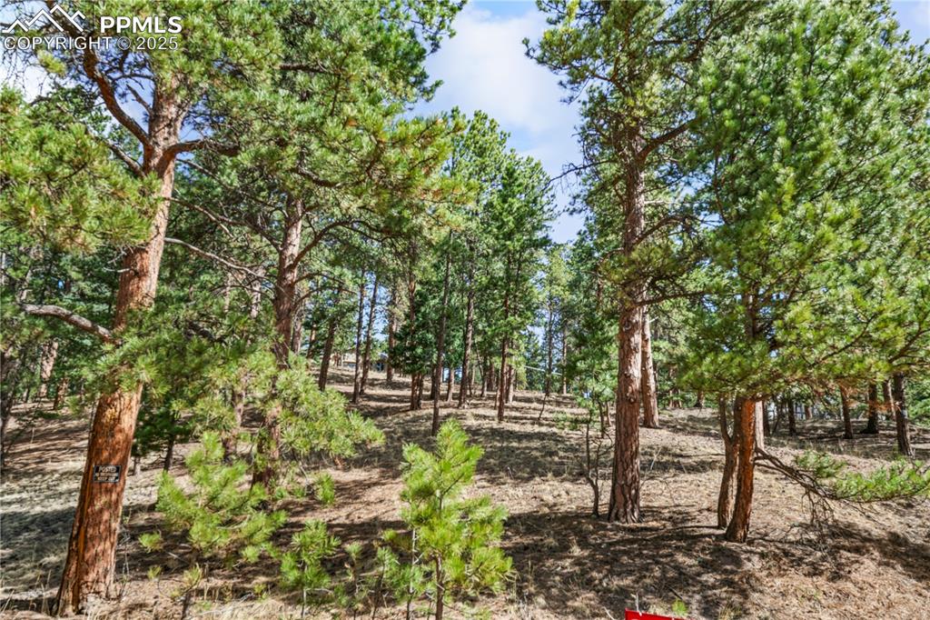 156 E Ridge Drive Woodland Park CO 80863