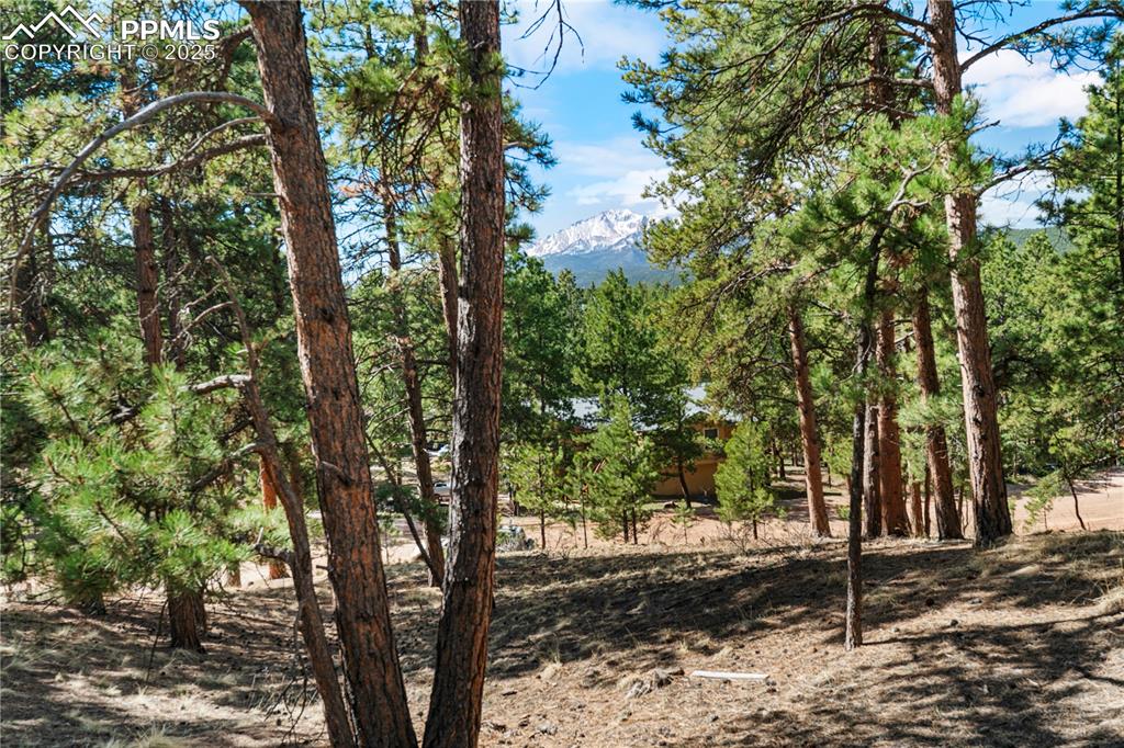 156 E Ridge Drive Woodland Park CO 80863