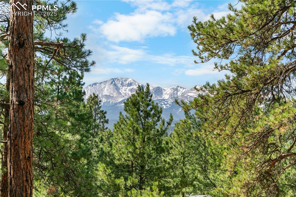 156 E Ridge Drive Woodland Park CO 80863