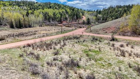 2031 Gold King Drive Cripple Creek CO 80813