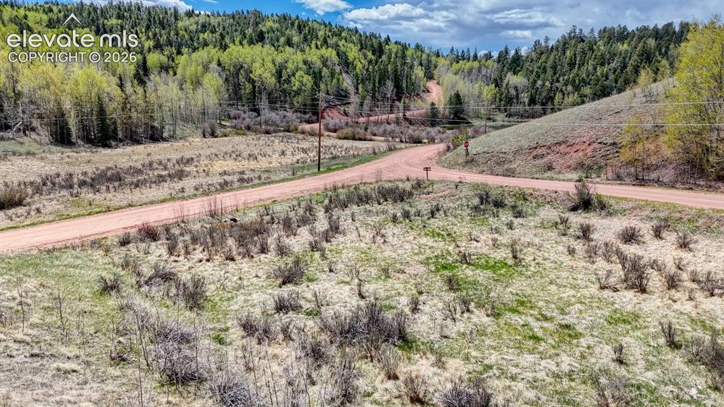 2031 Gold King Drive Cripple Creek CO 80813