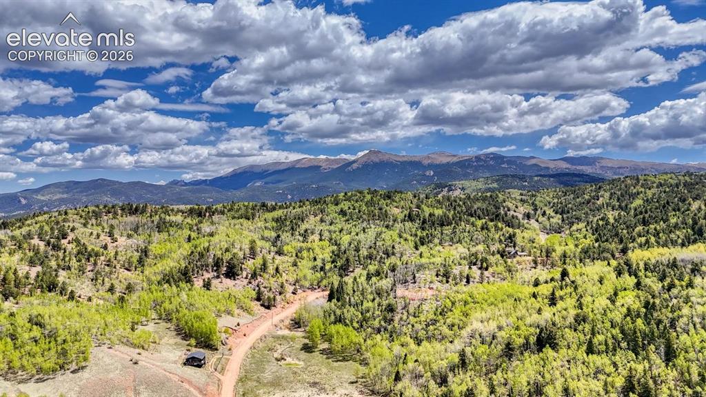 2031 Gold King Drive Cripple Creek CO 80813