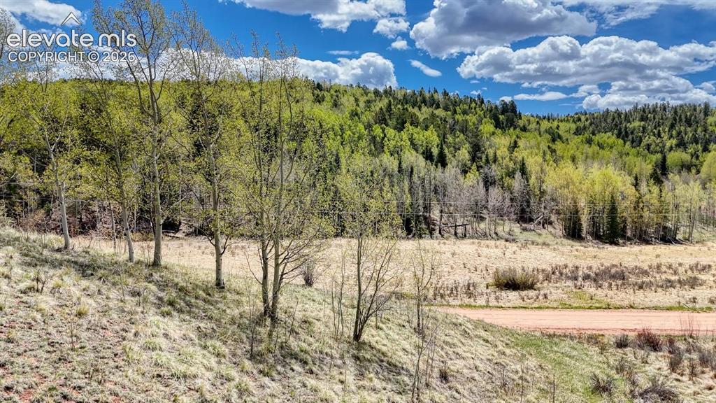 2031 Gold King Drive Cripple Creek CO 80813