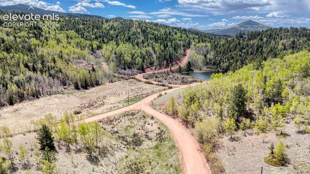 2031 Gold King Drive Cripple Creek CO 80813