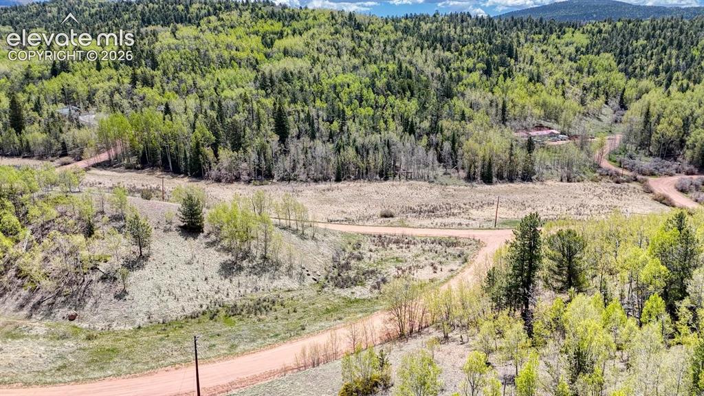 2031 Gold King Drive Cripple Creek CO 80813