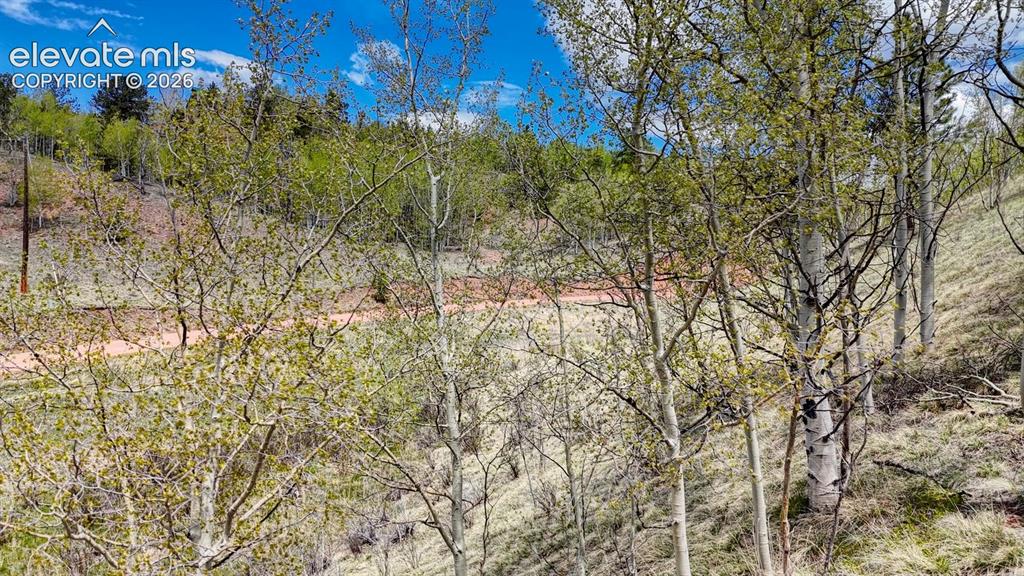 2031 Gold King Drive Cripple Creek CO 80813