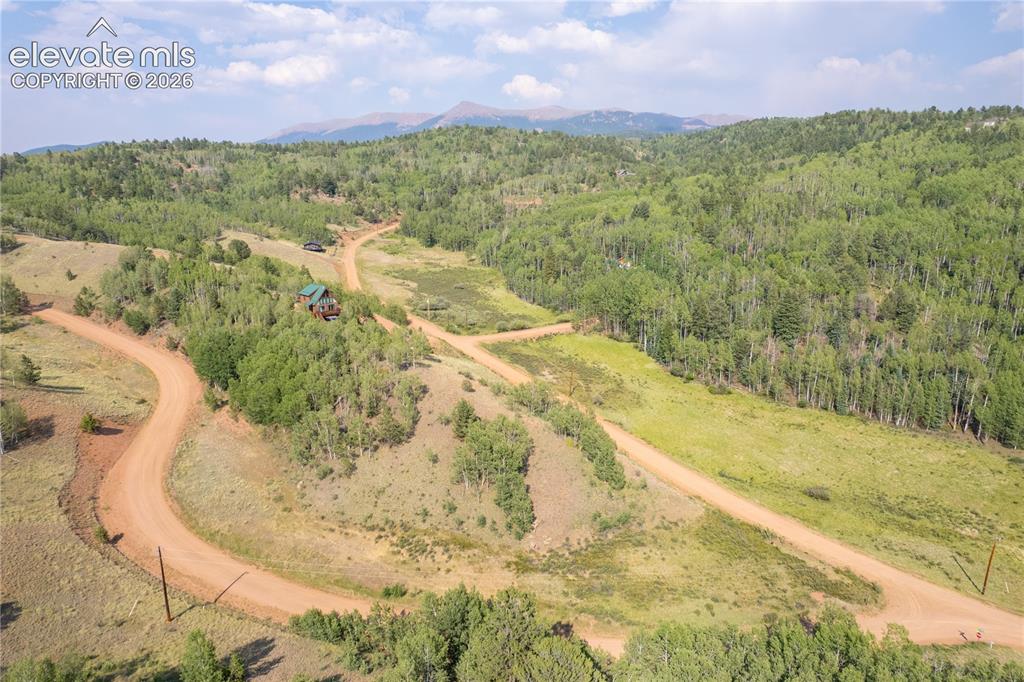 2031 Gold King Drive Cripple Creek CO 80813