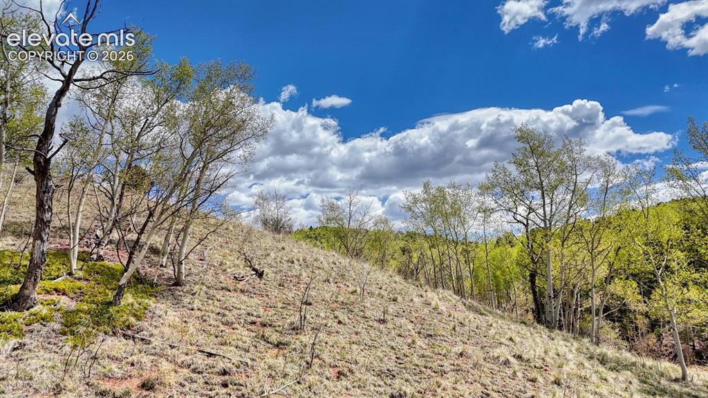 2031 Gold King Drive Cripple Creek CO 80813
