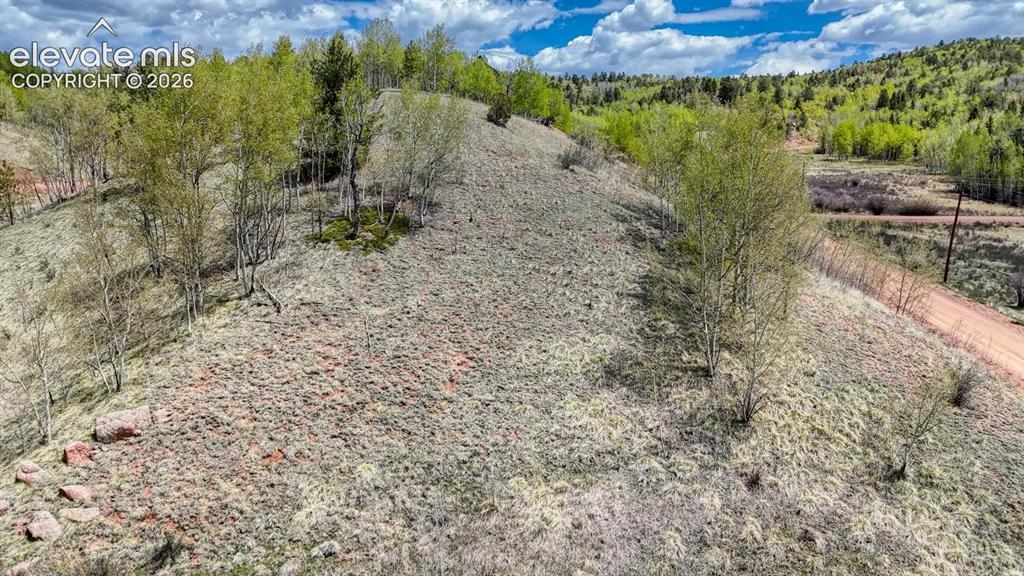 2031 Gold King Drive Cripple Creek CO 80813