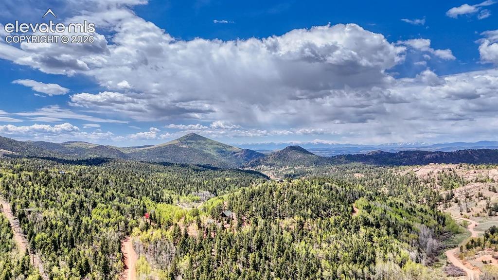 2031 Gold King Drive Cripple Creek CO 80813