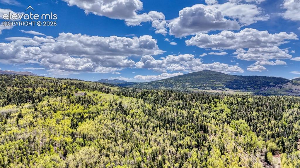 2031 Gold King Drive Cripple Creek CO 80813