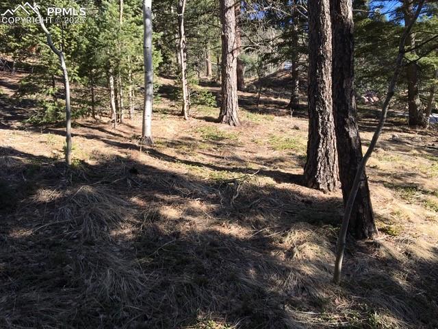 6800 Eagle Mountain Road Manitou Springs CO 80829