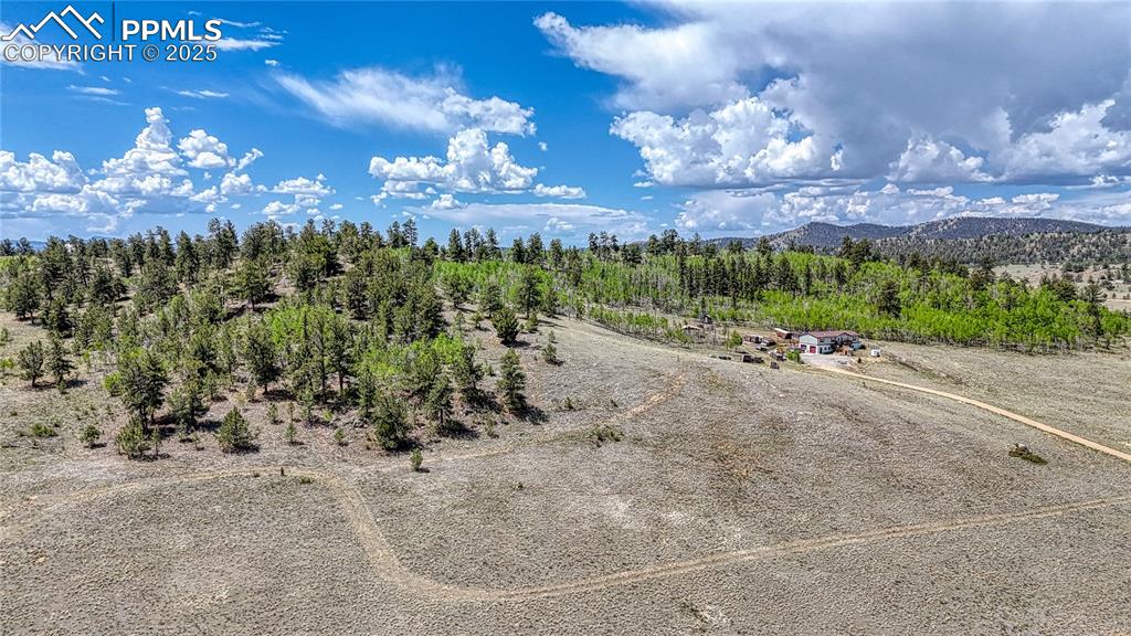4332 Goldenburg Canyon Road Hartsel CO 80449