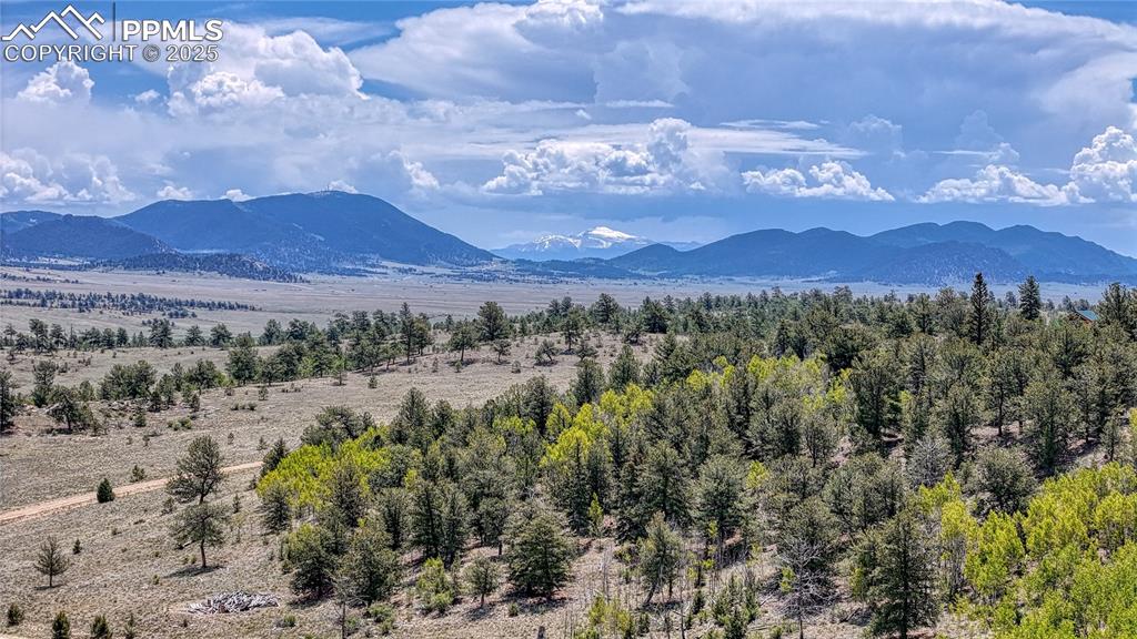 4332 Goldenburg Canyon Road Hartsel CO 80449