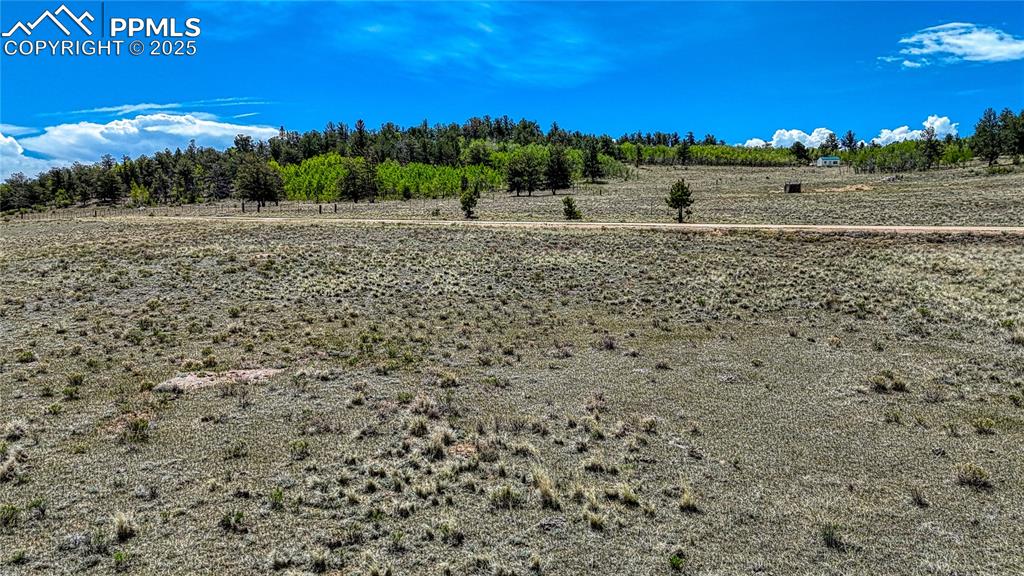 4332 Goldenburg Canyon Road Hartsel CO 80449