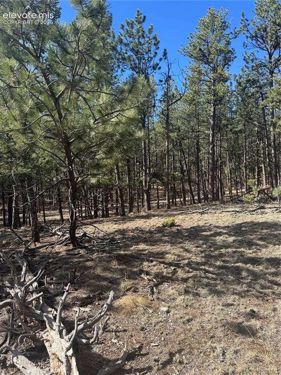 642 Matterhorn Drive Florissant CO 80816