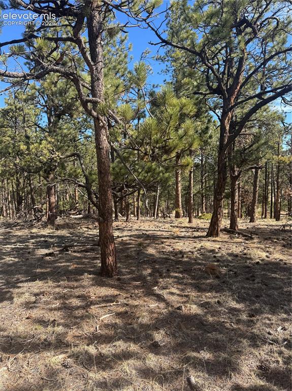 642 Matterhorn Drive Florissant CO 80816