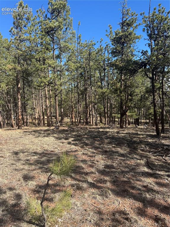 642 Matterhorn Drive Florissant CO 80816