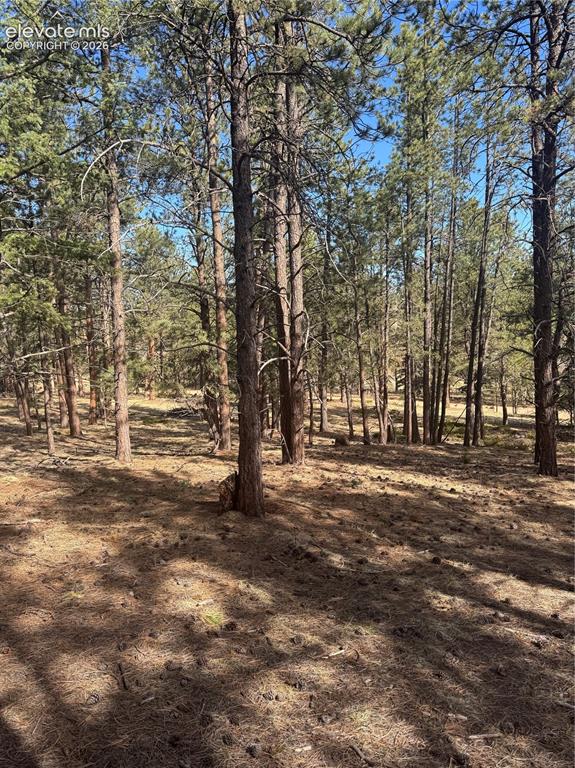 642 Matterhorn Drive Florissant CO 80816