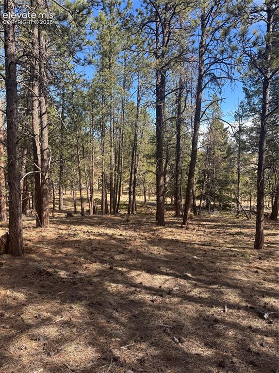 642 Matterhorn Drive Florissant CO 80816