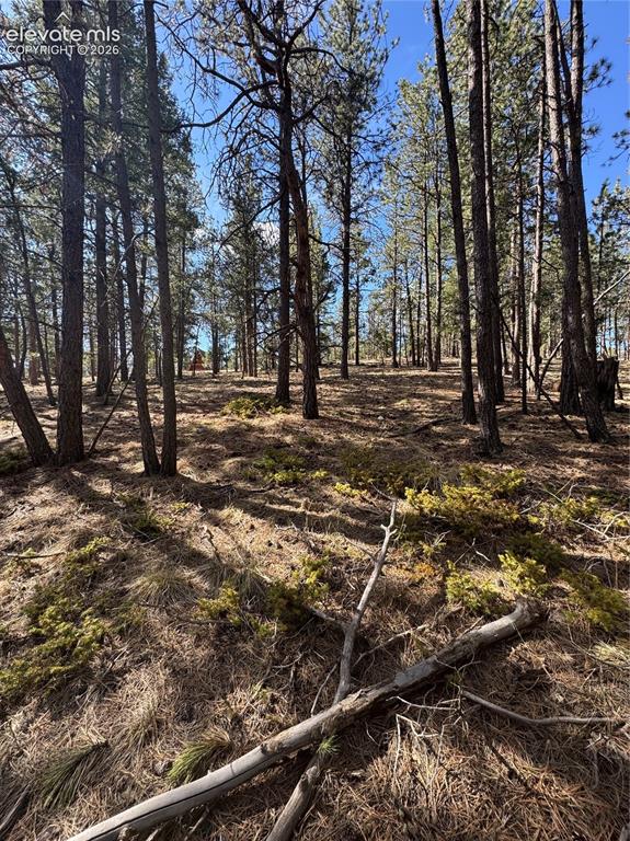 642 Matterhorn Drive Florissant CO 80816
